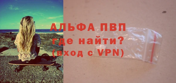 сатива Пролетарск