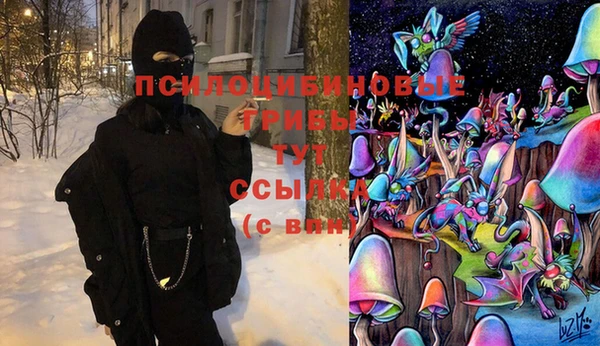 эйфоретик Абинск